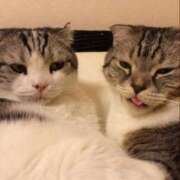 ヒメ日記 2025/09/09 18:20 投稿 たまき 奥鉄オクテツ兵庫