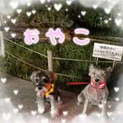 ヒメ日記 2025/09/26 10:50 投稿 たまき 奥鉄オクテツ兵庫