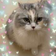 ヒメ日記 2025/09/26 13:35 投稿 たまき 奥鉄オクテツ兵庫