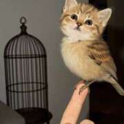 ヒメ日記 2025/10/18 17:20 投稿 たまき 奥鉄オクテツ兵庫