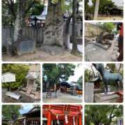 ヒメ日記 2025/10/21 20:35 投稿 たまき 奥鉄オクテツ兵庫