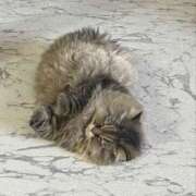 ヒメ日記 2025/10/31 12:45 投稿 たまき 奥鉄オクテツ兵庫