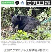 ヒメ日記 2025/11/03 11:45 投稿 たまき 奥鉄オクテツ兵庫