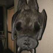 ヒメ日記 2025/11/03 14:05 投稿 たまき 奥鉄オクテツ兵庫