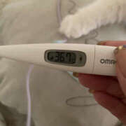 ヒメ日記 2025/11/10 09:55 投稿 たまき 奥鉄オクテツ兵庫