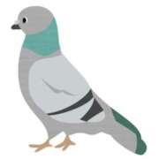 ヒメ日記 2025/11/16 22:50 投稿 たまき 奥鉄オクテツ兵庫