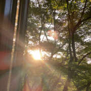 ヒメ日記 2025/11/17 13:25 投稿 たまき 奥鉄オクテツ兵庫