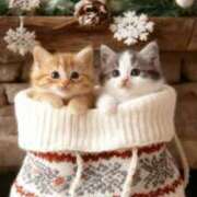 ヒメ日記 2025/12/14 16:20 投稿 たまき 奥鉄オクテツ兵庫