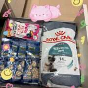 ヒメ日記 2025/12/23 16:30 投稿 たまき 奥鉄オクテツ兵庫