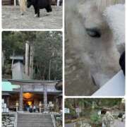 ヒメ日記 2026/01/03 10:40 投稿 たまき 奥鉄オクテツ兵庫