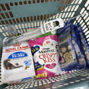 ヒメ日記 2026/01/03 19:50 投稿 たまき 奥鉄オクテツ兵庫