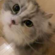 ヒメ日記 2026/01/12 11:40 投稿 たまき 奥鉄オクテツ兵庫