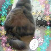 ヒメ日記 2026/01/18 15:55 投稿 たまき 奥鉄オクテツ兵庫