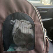 ヒメ日記 2026/01/27 12:50 投稿 たまき 奥鉄オクテツ兵庫