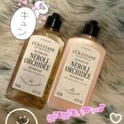 ヒメ日記 2026/02/11 09:45 投稿 たまき 奥鉄オクテツ兵庫
