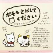 ヒメ日記 2026/02/17 10:25 投稿 たまき 奥鉄オクテツ兵庫