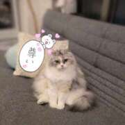 ヒメ日記 2026/02/17 12:20 投稿 たまき 奥鉄オクテツ兵庫