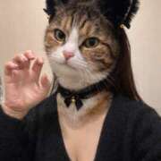 ヒメ日記 2026/02/17 18:40 投稿 たまき 奥鉄オクテツ兵庫