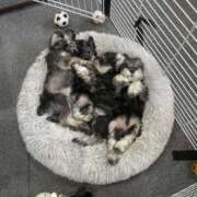 ヒメ日記 2026/02/25 15:25 投稿 たまき 奥鉄オクテツ兵庫