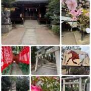 ヒメ日記 2026/03/02 21:05 投稿 たまき 奥鉄オクテツ兵庫