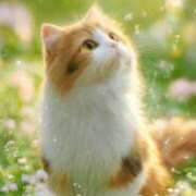 ヒメ日記 2026/03/05 08:05 投稿 たまき 奥鉄オクテツ兵庫