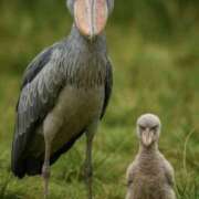 ヒメ日記 2026/03/05 15:35 投稿 たまき 奥鉄オクテツ兵庫