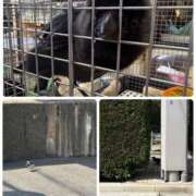 ヒメ日記 2026/03/21 20:00 投稿 たまき 奥鉄オクテツ兵庫