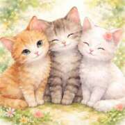 ヒメ日記 2026/03/22 08:15 投稿 たまき 奥鉄オクテツ兵庫