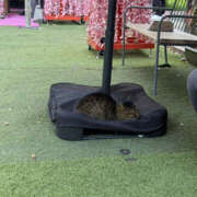 ヒメ日記 2026/03/26 16:30 投稿 たまき 奥鉄オクテツ兵庫