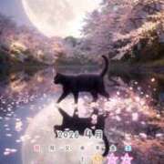 ヒメ日記 2026/04/01 15:00 投稿 たまき 奥鉄オクテツ兵庫