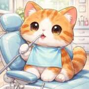 ヒメ日記 2026/04/14 11:00 投稿 たまき 奥鉄オクテツ兵庫