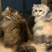 ヒメ日記 2026/04/16 08:15 投稿 たまき 奥鉄オクテツ兵庫