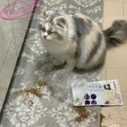 ヒメ日記 2026/04/16 12:35 投稿 たまき 奥鉄オクテツ兵庫