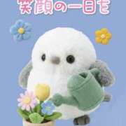 ヒメ日記 2026/04/21 09:30 投稿 たまき 奥鉄オクテツ兵庫