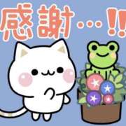ヒメ日記 2026/05/08 11:00 投稿 たまき 奥鉄オクテツ兵庫