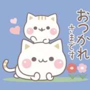 ヒメ日記 2026/06/08 14:15 投稿 たまき 奥鉄オクテツ兵庫