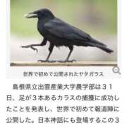 ヒメ日記 2026/06/15 10:20 投稿 たまき 奥鉄オクテツ兵庫