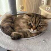 ヒメ日記 2026/06/16 12:00 投稿 たまき 奥鉄オクテツ兵庫