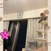 ヒメ日記 2026/06/26 23:45 投稿 たまき 奥鉄オクテツ兵庫