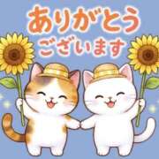 ヒメ日記 2026/07/08 09:05 投稿 たまき 奥鉄オクテツ兵庫