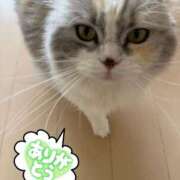 ヒメ日記 2026/09/11 09:55 投稿 たまき 奥鉄オクテツ兵庫