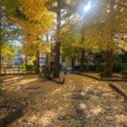 ヒメ日記 2024/12/06 13:54 投稿 るる エスッテ×エスッテ