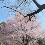 ヒメ日記 2025/04/03 22:05 投稿 るる エスッテ×エスッテ