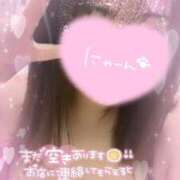 ヒメ日記 2024/12/14 19:49 投稿 みろ サンキュー町田・相模原店