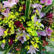 ヒメ日記 2025/03/16 01:04 投稿 つばき 佐世保人妻デリヘル「デリ夫人」