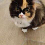 ヒメ日記 2025/10/18 11:05 投稿 つばき 佐世保人妻デリヘル「デリ夫人」