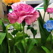 ヒメ日記 2025/10/18 15:45 投稿 つばき 佐世保人妻デリヘル「デリ夫人」