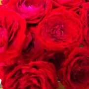 ヒメ日記 2025/10/28 09:32 投稿 つばき 佐世保人妻デリヘル「デリ夫人」