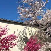 ヒメ日記 2025/01/09 17:54 投稿 みちる(みちる) 厚木奥様Life