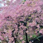 ヒメ日記 2025/03/12 19:15 投稿 みちる(みちる) 厚木奥様Life